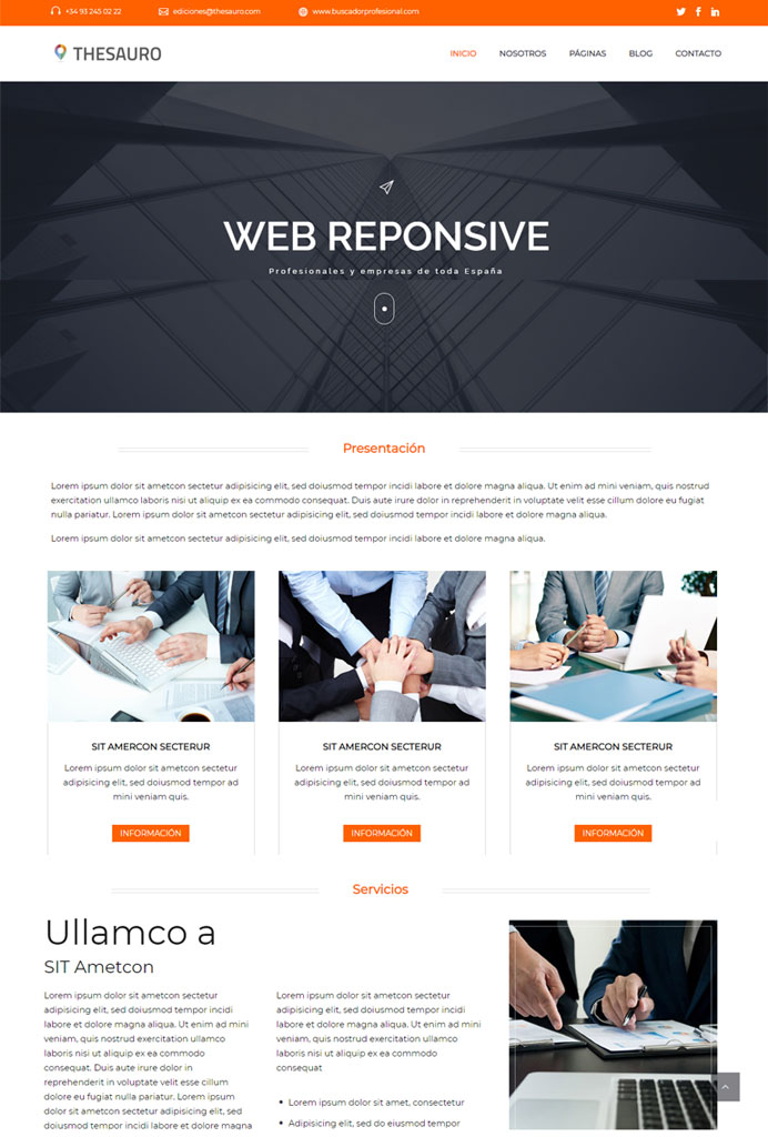 Buscador Profesional - www.buscadorprofesional.com - Thesauro Ediciones, S.L.